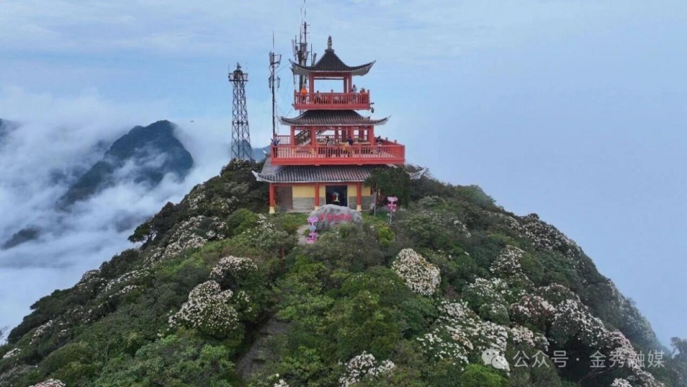 	花开迎客来｜2026金秀圣堂山杜鹃花文化旅游节盛大开幕